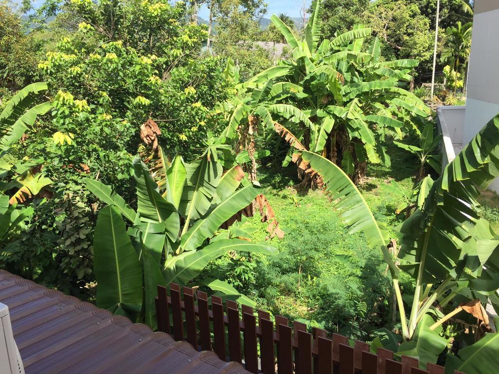 Samui Paca Place Mae Nam Beach Exterior foto