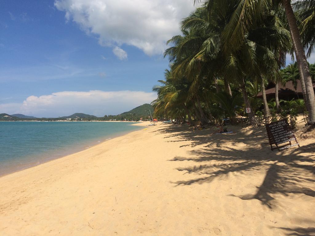 Samui Paca Place Mae Nam Beach Exterior foto